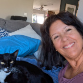 Senior Cat Specialist  Cozy Kitty Care