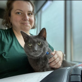 Experienced Boston Cat Lover