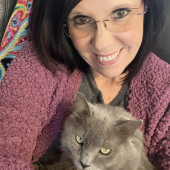 Carol's Cats - Peace Of Mind While You Are Away