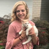 Cat Sitter Seeking New Clients