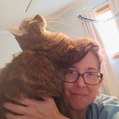 Cat Addict Seeking Kitties To Love