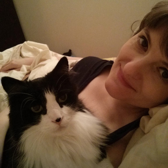 Experienced Care For Every Cat Personality