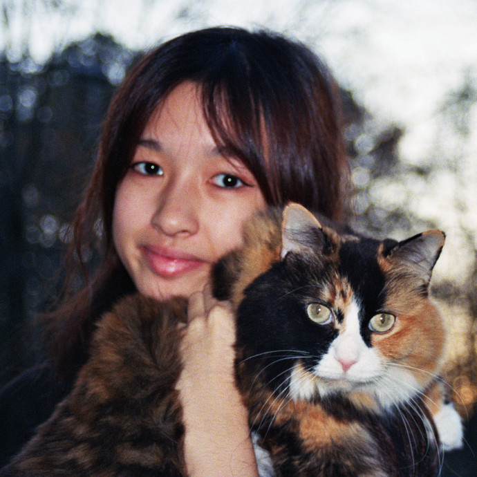Cat Sitter Available Cat Sitter Available