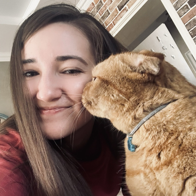 Loving Cat Care In Downtown Chicag