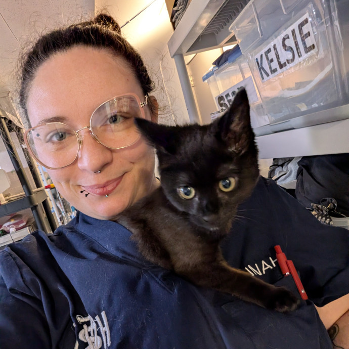 Animal Lover With Healthcare Experience