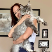 Ultimate Cat Enthusiast