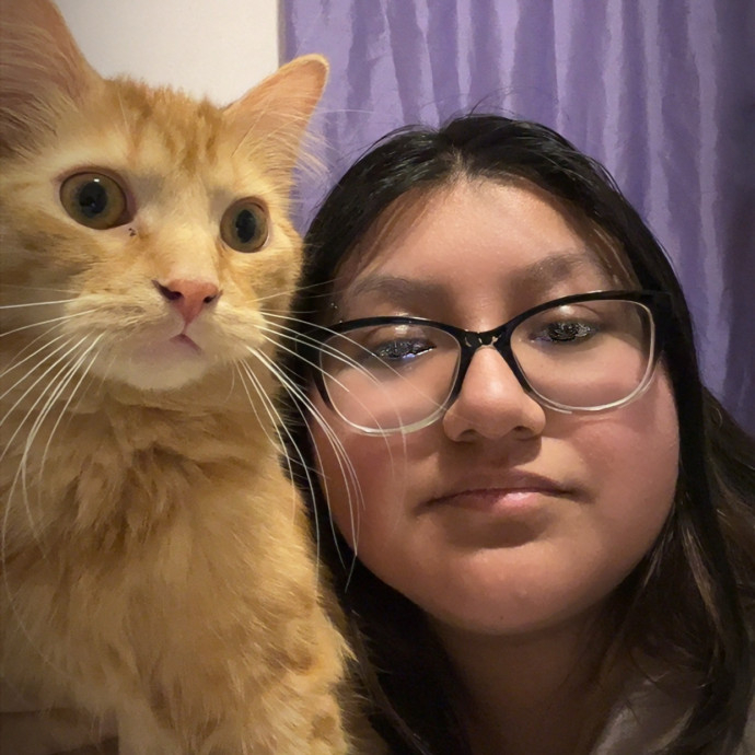 Caring Whiskers Cat Sitting