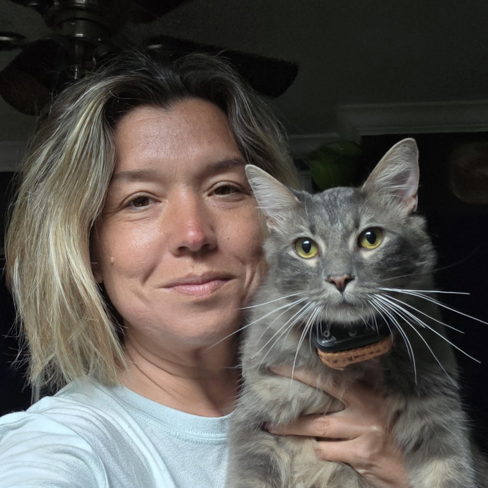 Professional Cat Care You Can Trust