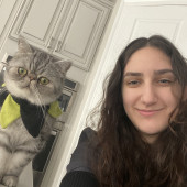 Cat Companion And Caretaker