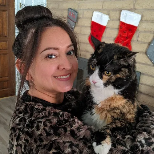 Reliable Cat Sitting In Las Vegas