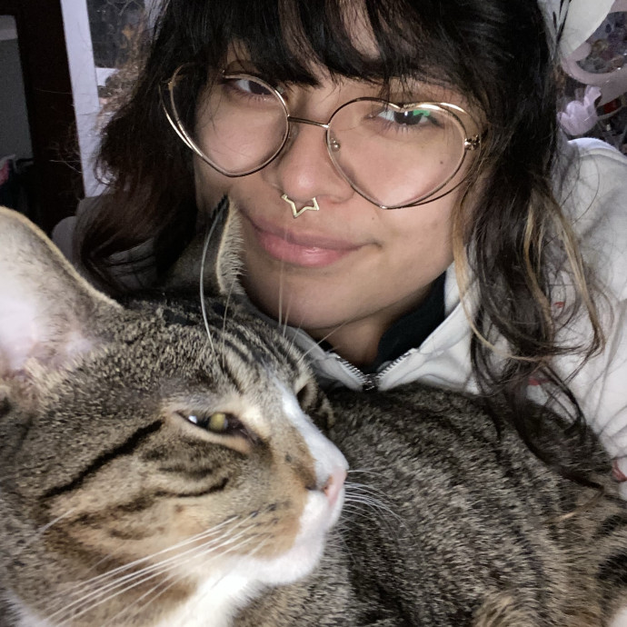 Cat Care Approved By Seven Cats