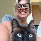 Bay Cat Companion