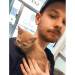 Adam's Cat Sitting