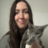 Cozy Cat Care When You're Not There