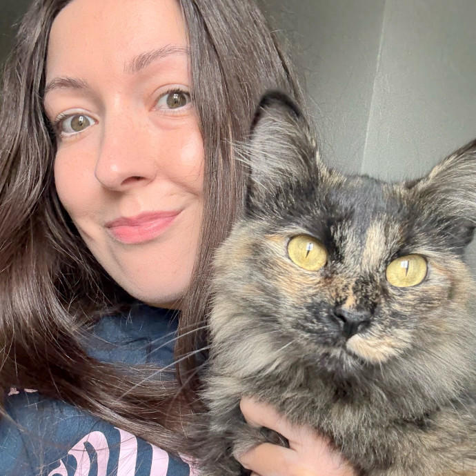 Cozy Cat Care When You're Not There Cozy Cat Care When You're Not There