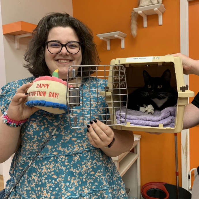 Lifelong Animal Lover - Mom To 2 Kitties