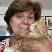 Cats And Karen Purrfect Together