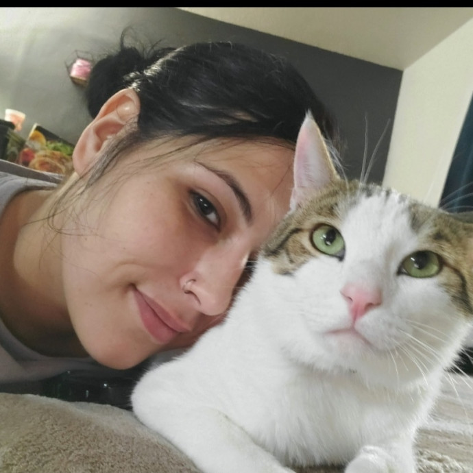 Feline Overlord Handler
