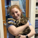 Vet Assistant At Cat Clinic