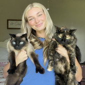 Experienced  Loving Cat Sitter