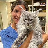 Licensed Vet Tech  Cat Momloving Ca