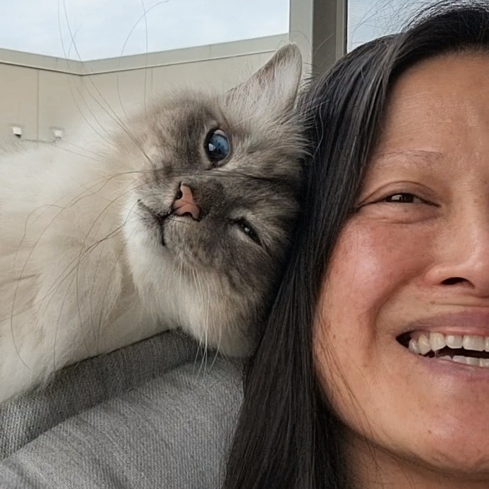 Caring Cat Concierge In Springfield