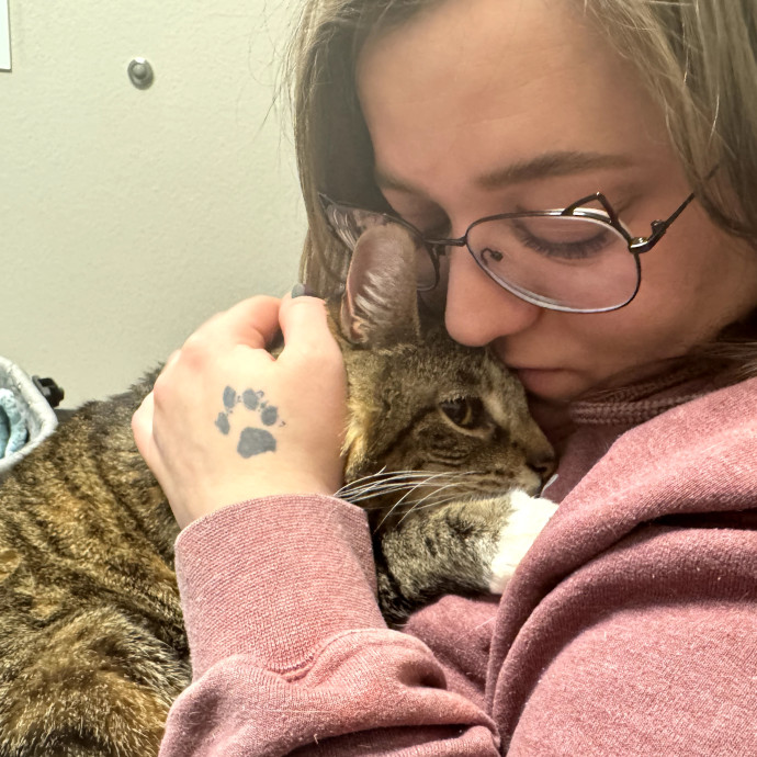Morgan's Meow-Calypse