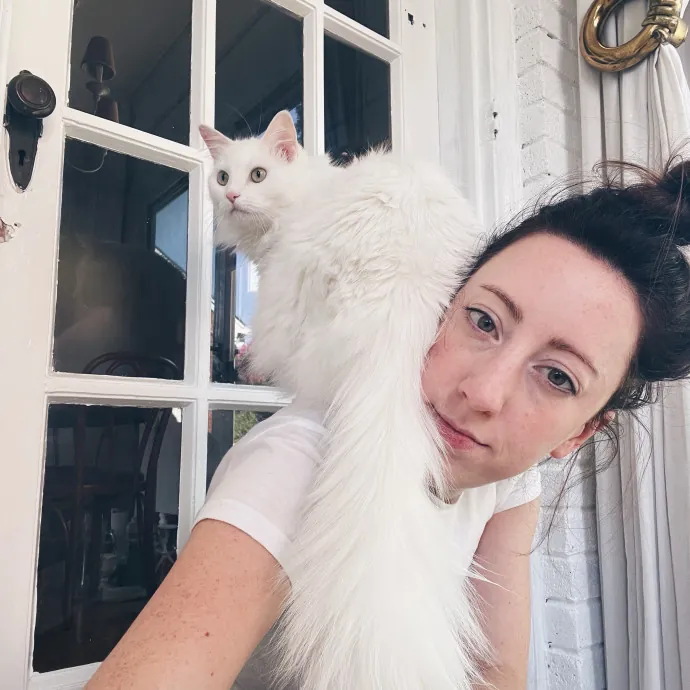 Cats R Lyf