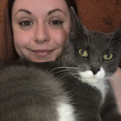 Lots Of Love For Your Cats And Home