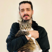 Cat Gaurdian Engaged And Calm