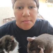 Cat Hair Everywhere