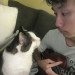 Kapono  Cat Friends