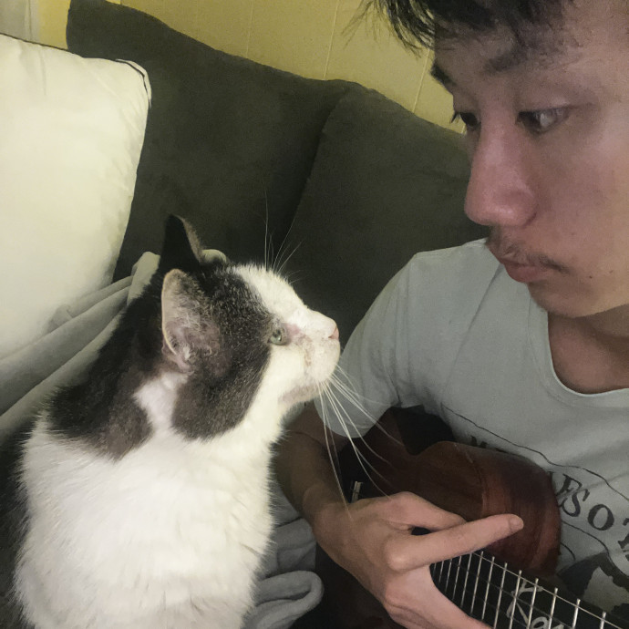 Kapono  Cat Friends