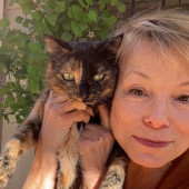 Fur-Real Cat Lover Sitter Available