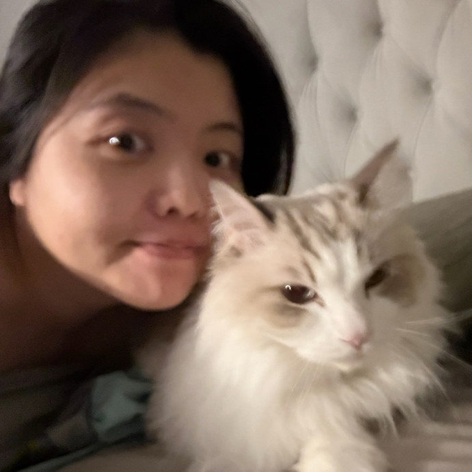Professional Pet Groomer Who Loves Cats