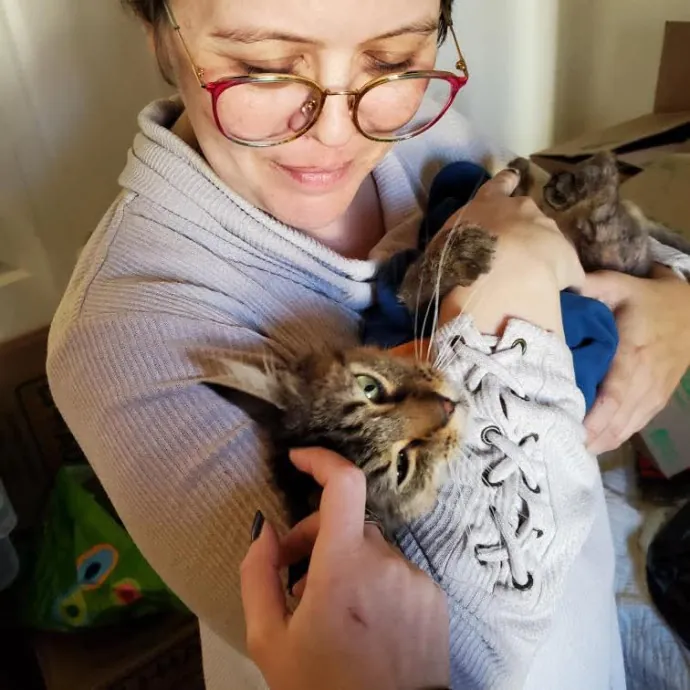 Winning Over Whiskers 1 Purr-Baby At A Time