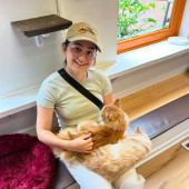 Certified Cat Lady For Hire