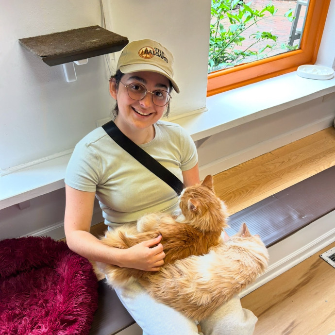 Certified Cat Lady For Hire