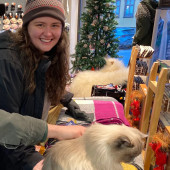 Pro Cat Care By A Former Vet Assistant