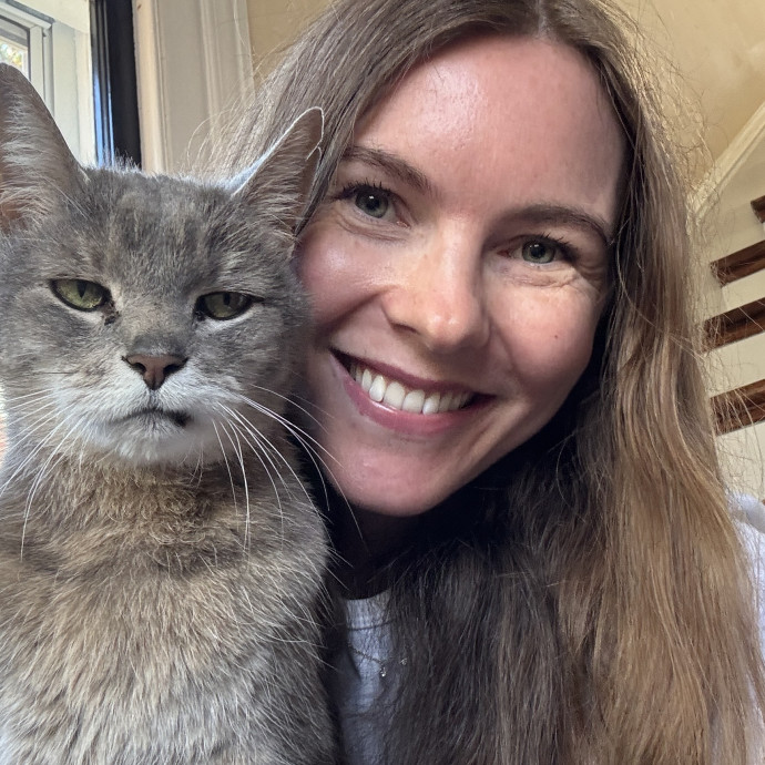 Clarity's Kitty Care