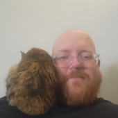 Zach's Cat-Tastic Sitting Services