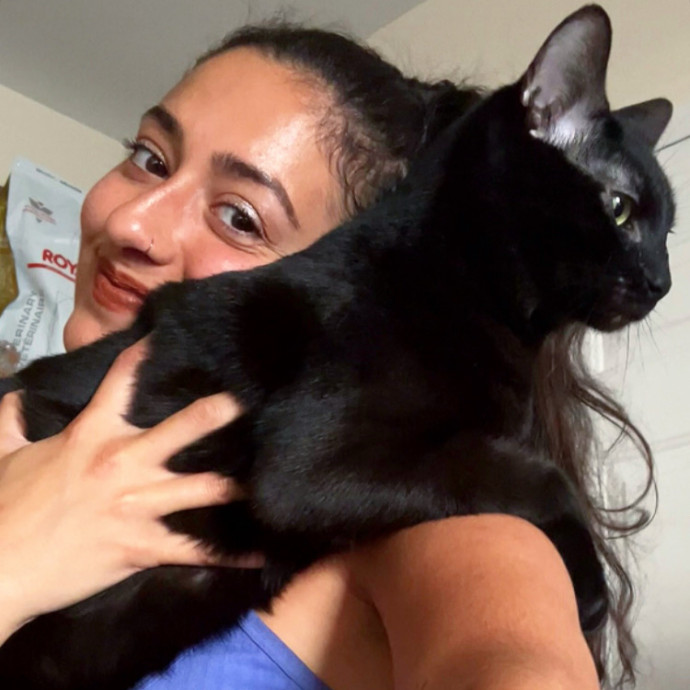 Loving Attentive Reliable Cat Sitter