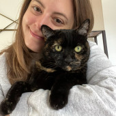 Warm Reliable Kitty Sitter
