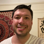 Cats Me If You Can
