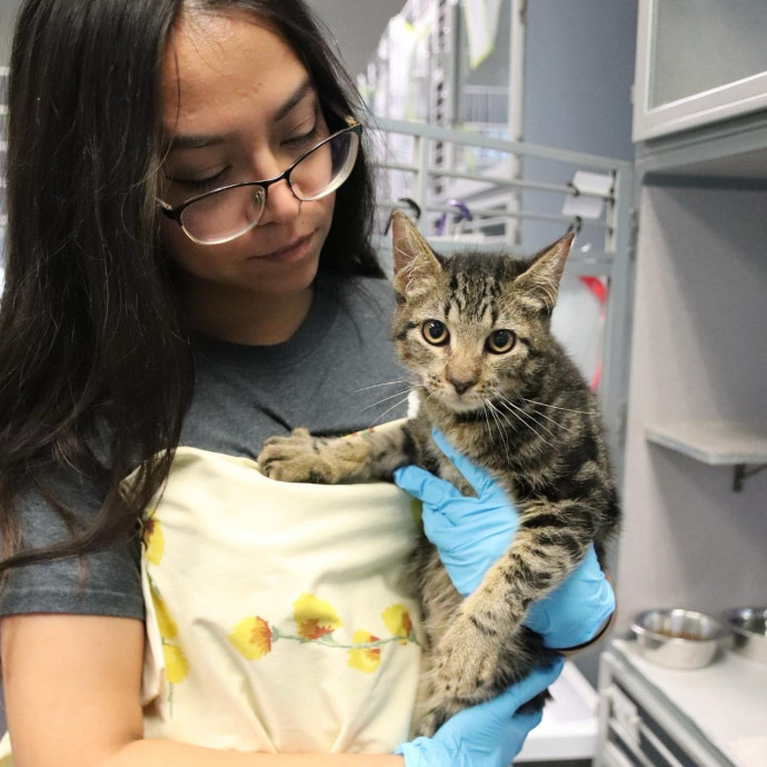 Loving Cat Care While You're Away