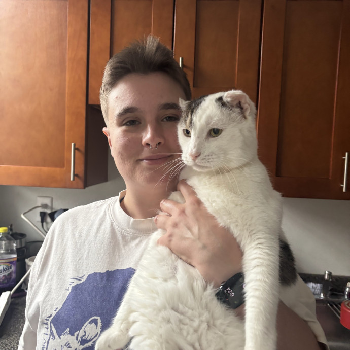 Experienced Cat Sitter