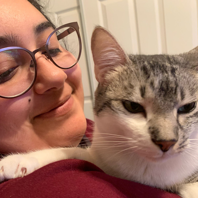 Loving All Cats On The Spectrum Loving All Cats On The Spectrum