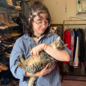 Confident With Cats Of All Moods