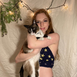 Rosie's Cozy Cat Care Rosie's Cozy Cat Care