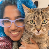 Cat Mamma For 11 Years